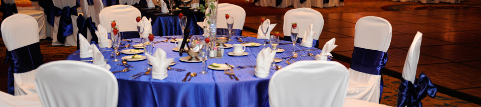 Blue reception table setting